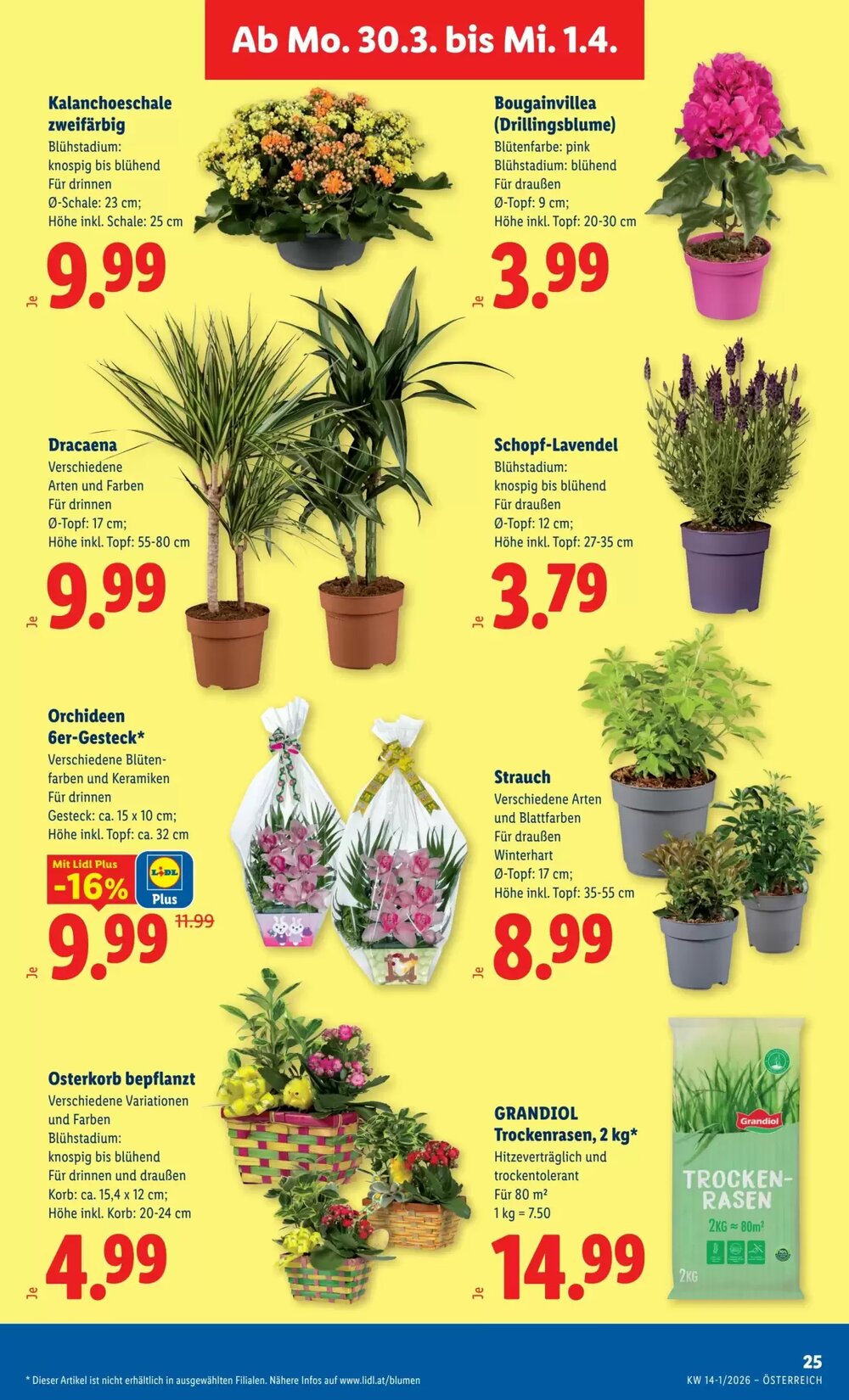 Lidl Flugblatt (ab 26.03.2026) - Angebote und Prospekt - Seite 30