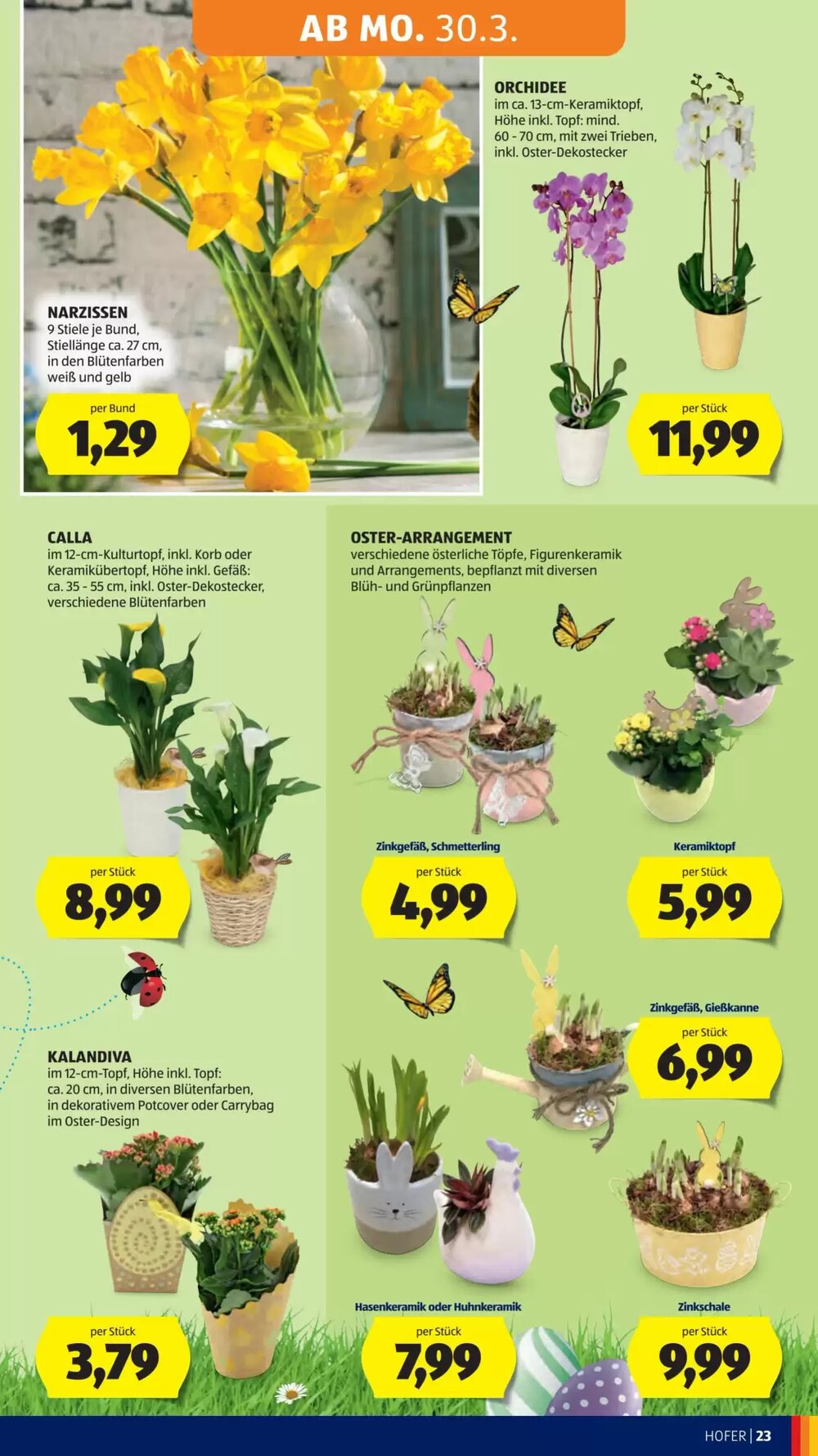 Hofer Flugblatt (ab 27.03.2026) - Angebote und Prospekt - Seite 29
