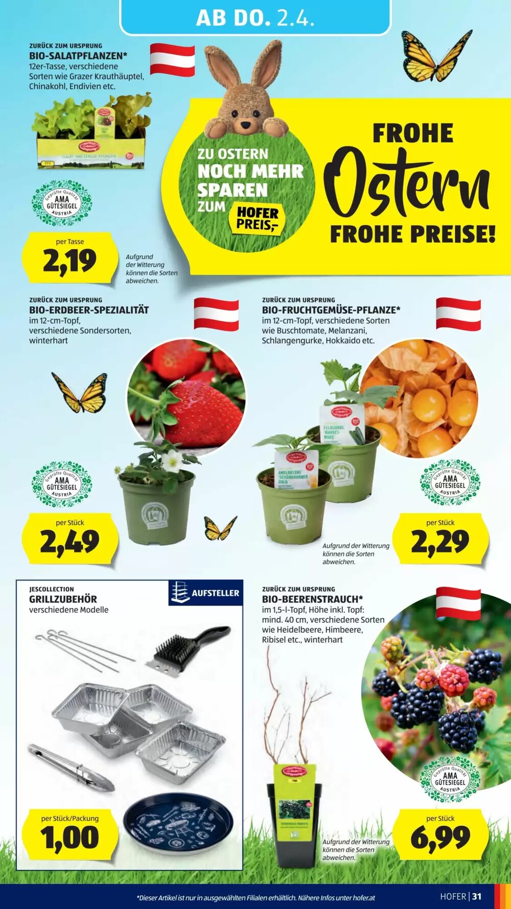 Hofer Flugblatt (ab 27.03.2026) - Angebote und Prospekt - Seite 37