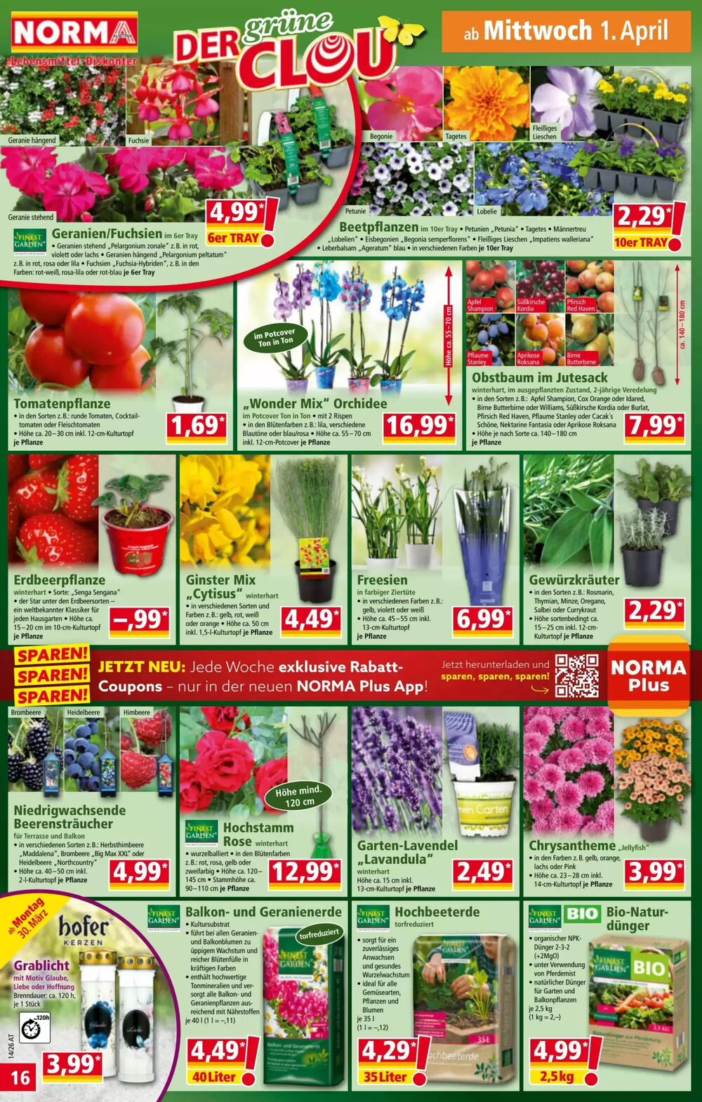 Norma Flugblatt (ab 30.03.2026) - Angebote und Prospekt - Seite 16
