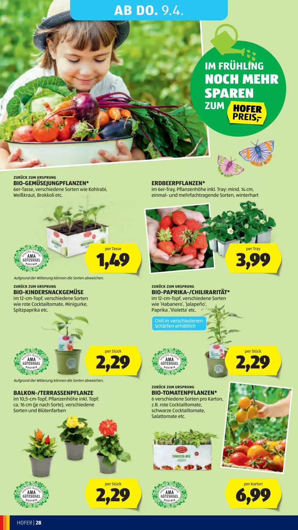 Hofer Flugblatt (ab 01.04.2026) - Angebote und Prospekt - Seite 32