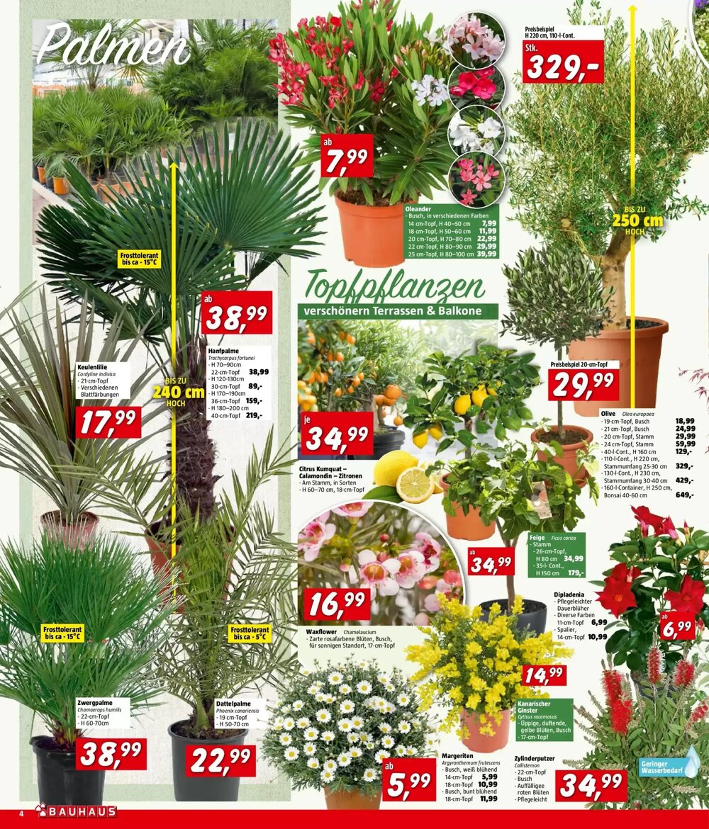 Bauhaus Flugblatt (ab 01.04.2026) - Angebote und Prospekt - Seite 4