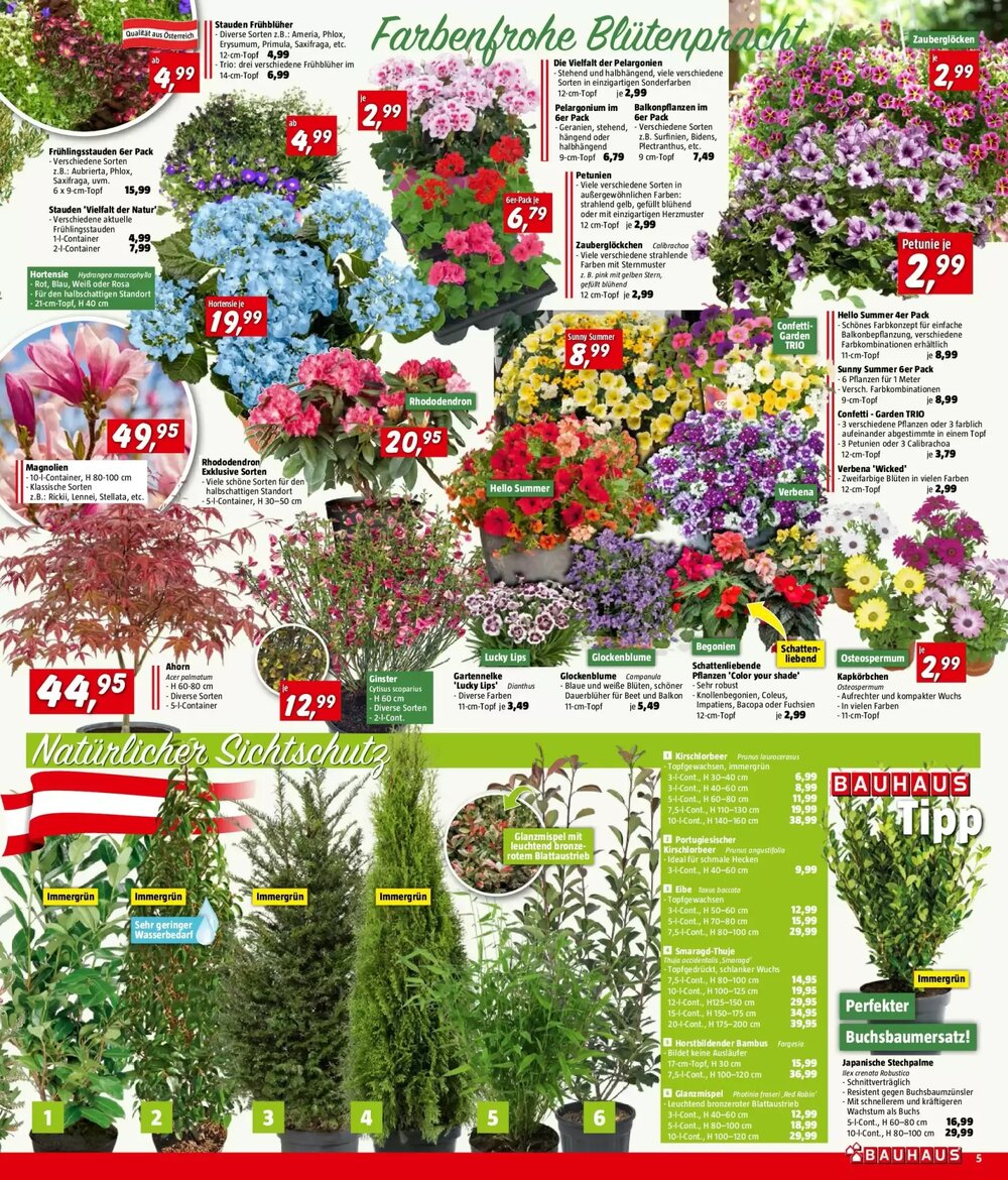 Bauhaus Flugblatt (ab 01.04.2026) - Angebote und Prospekt - Seite 5
