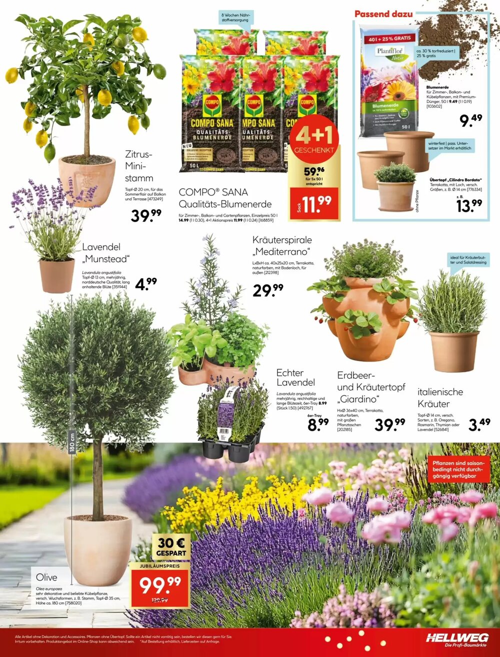 Hellweg Flugblatt (ab 02.04.2026) - Angebote und Prospekt - Seite 29