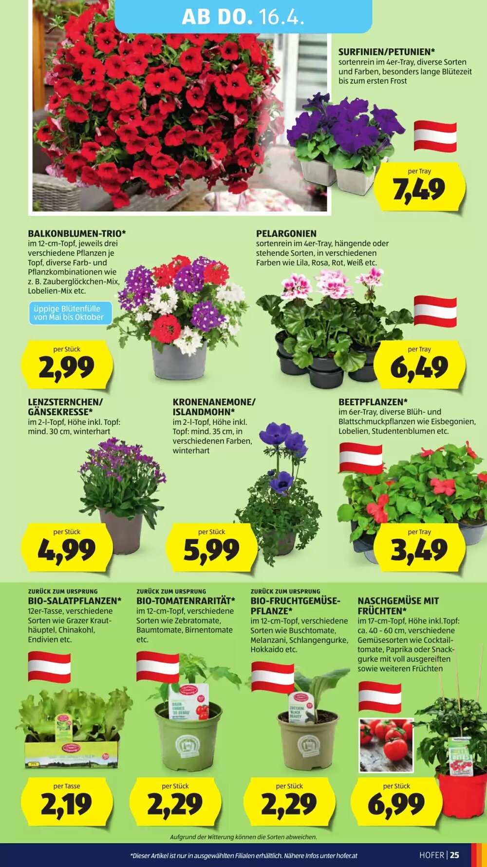 Hofer Flugblatt (ab 08.04.2026) - Angebote und Prospekt - Seite 29