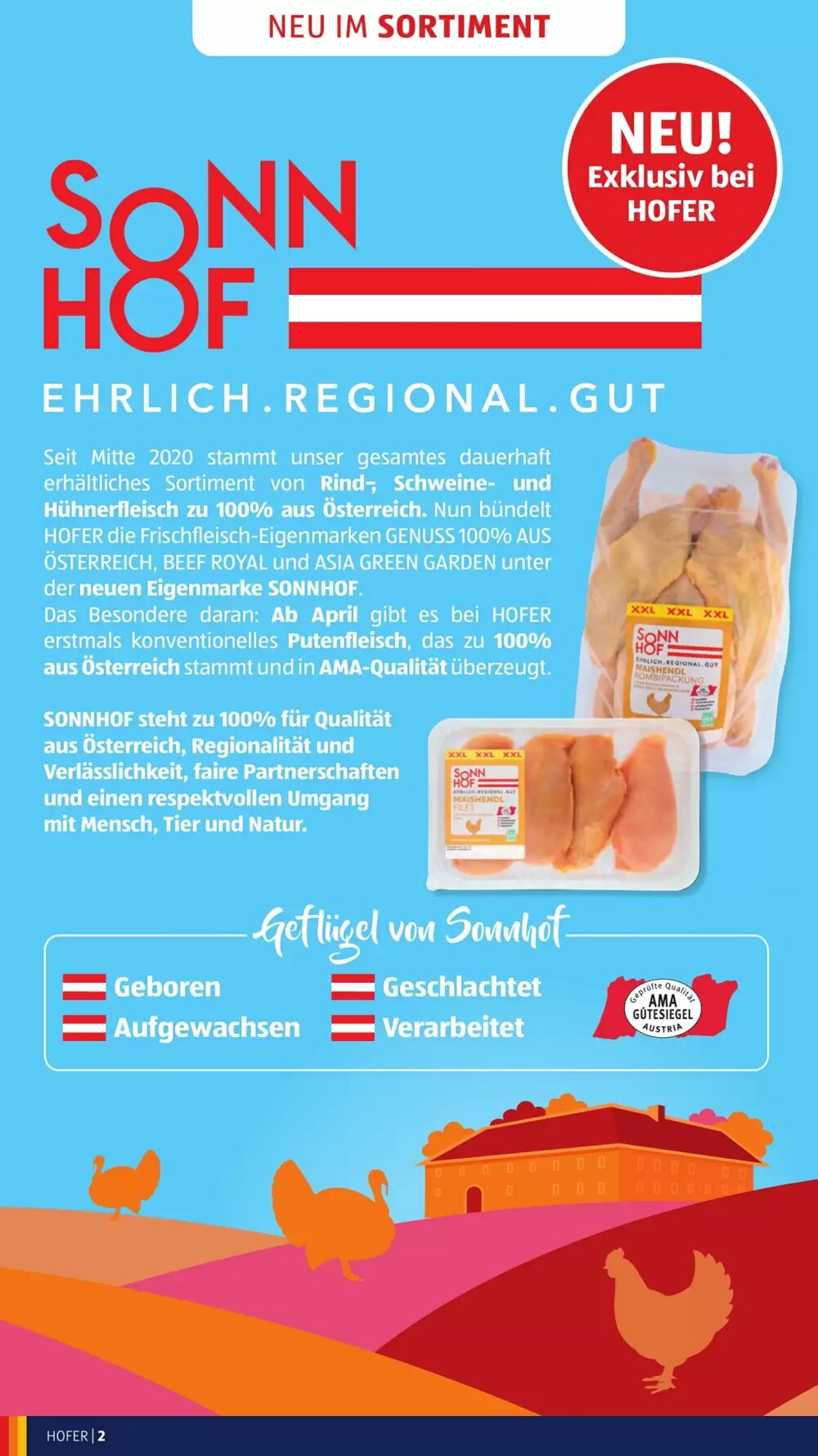 Hofer Flugblatt (ab 08.04.2026) - Angebote und Prospekt - Seite 4