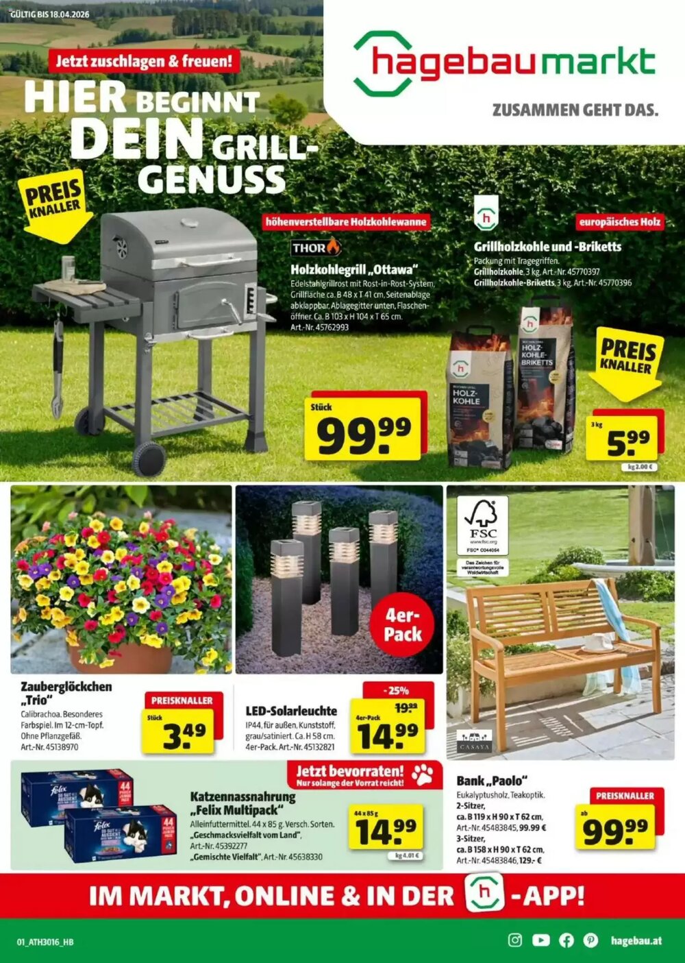 Hagebau Flugblatt (ab 08.04.2026) - Angebote und Prospekt - Seite 1