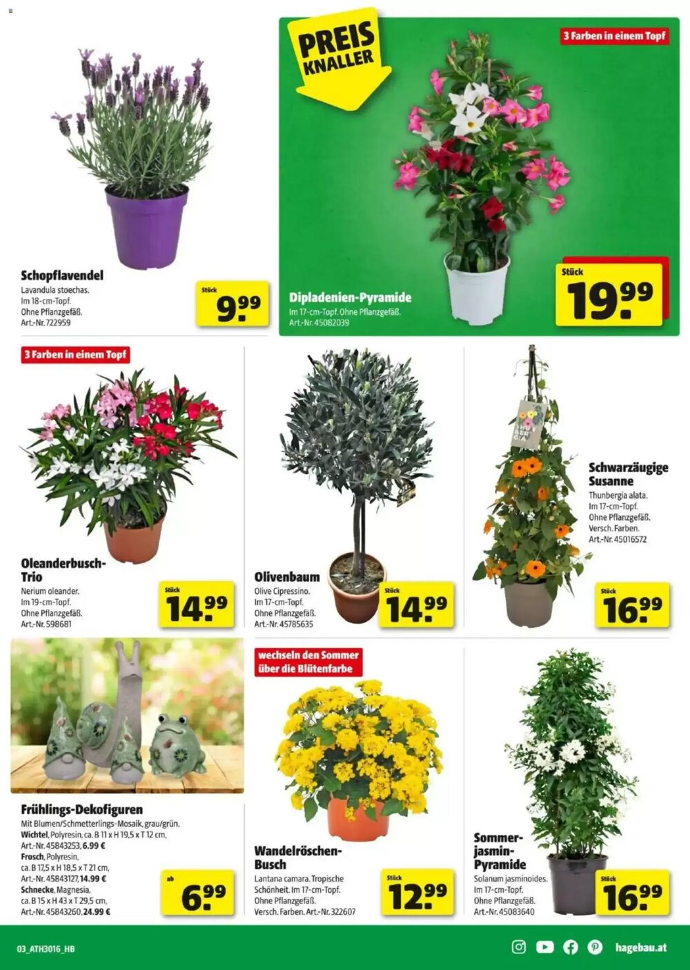 Hagebau Flugblatt (ab 08.04.2026) - Angebote und Prospekt - Seite 3