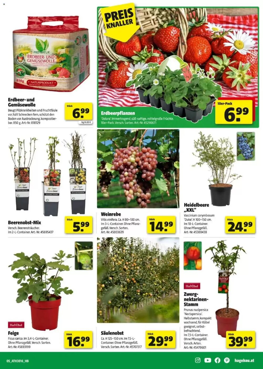 Hagebau Flugblatt (ab 08.04.2026) - Angebote und Prospekt - Seite 5