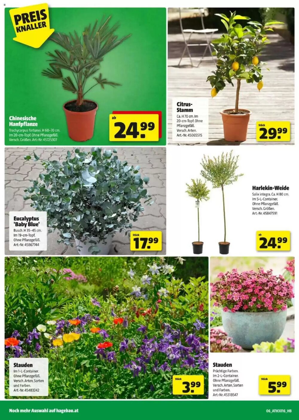 Hagebau Flugblatt (ab 08.04.2026) - Angebote und Prospekt - Seite 6