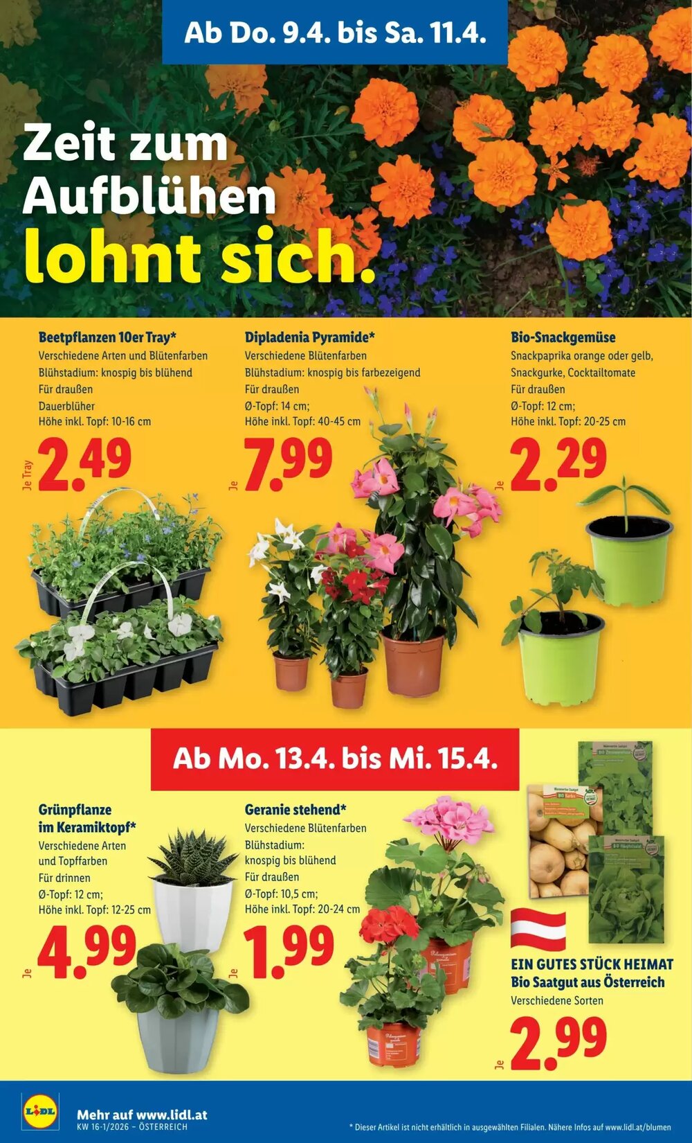 Lidl Flugblatt (ab 09.04.2026) - Angebote und Prospekt - Seite 28