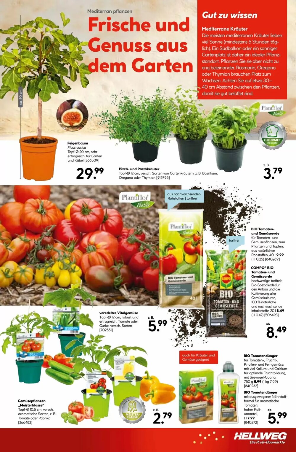 Hellweg Flugblatt (ab 09.04.2026) - Angebote und Prospekt - Seite 13