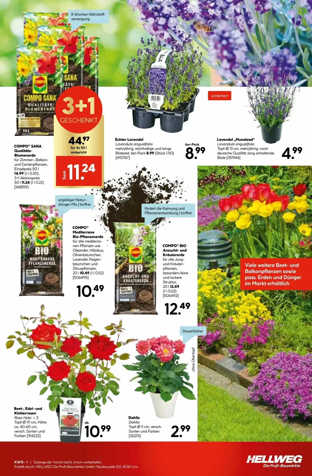 Hellweg Flugblatt (ab 09.04.2026) - Angebote und Prospekt - Seite 15