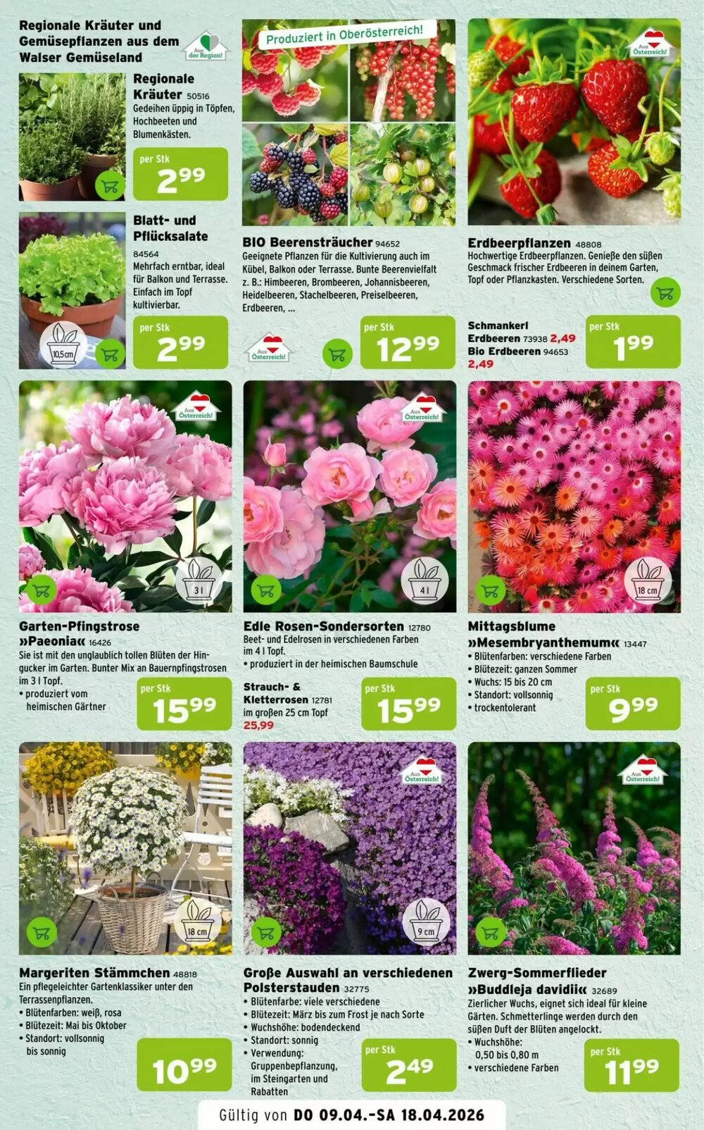 Salzburger Lagerhaus Flugblatt (ab 09.04.2026) - Angebote und Prospekt - Seite 2