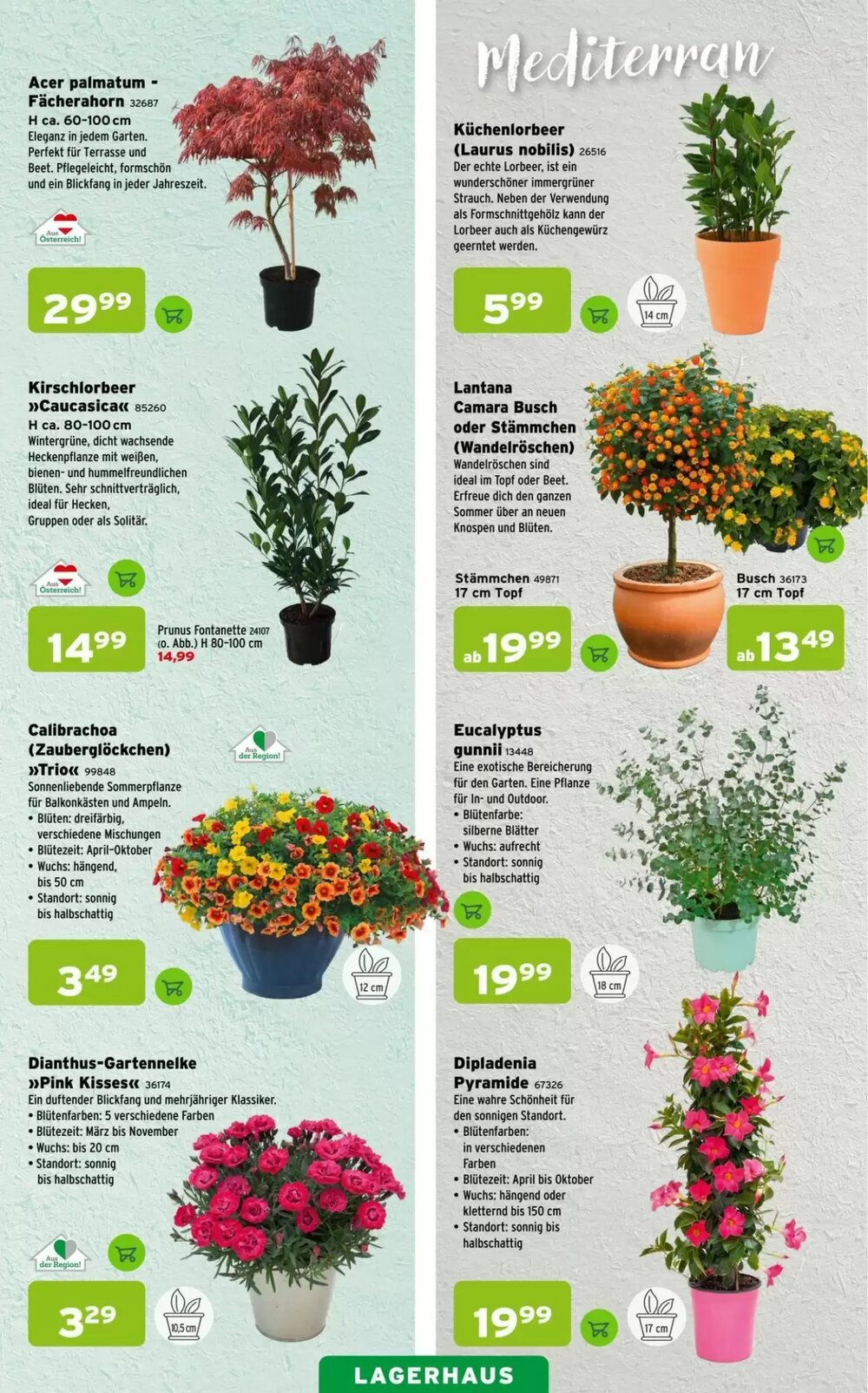 Salzburger Lagerhaus Flugblatt (ab 09.04.2026) - Angebote und Prospekt - Seite 3