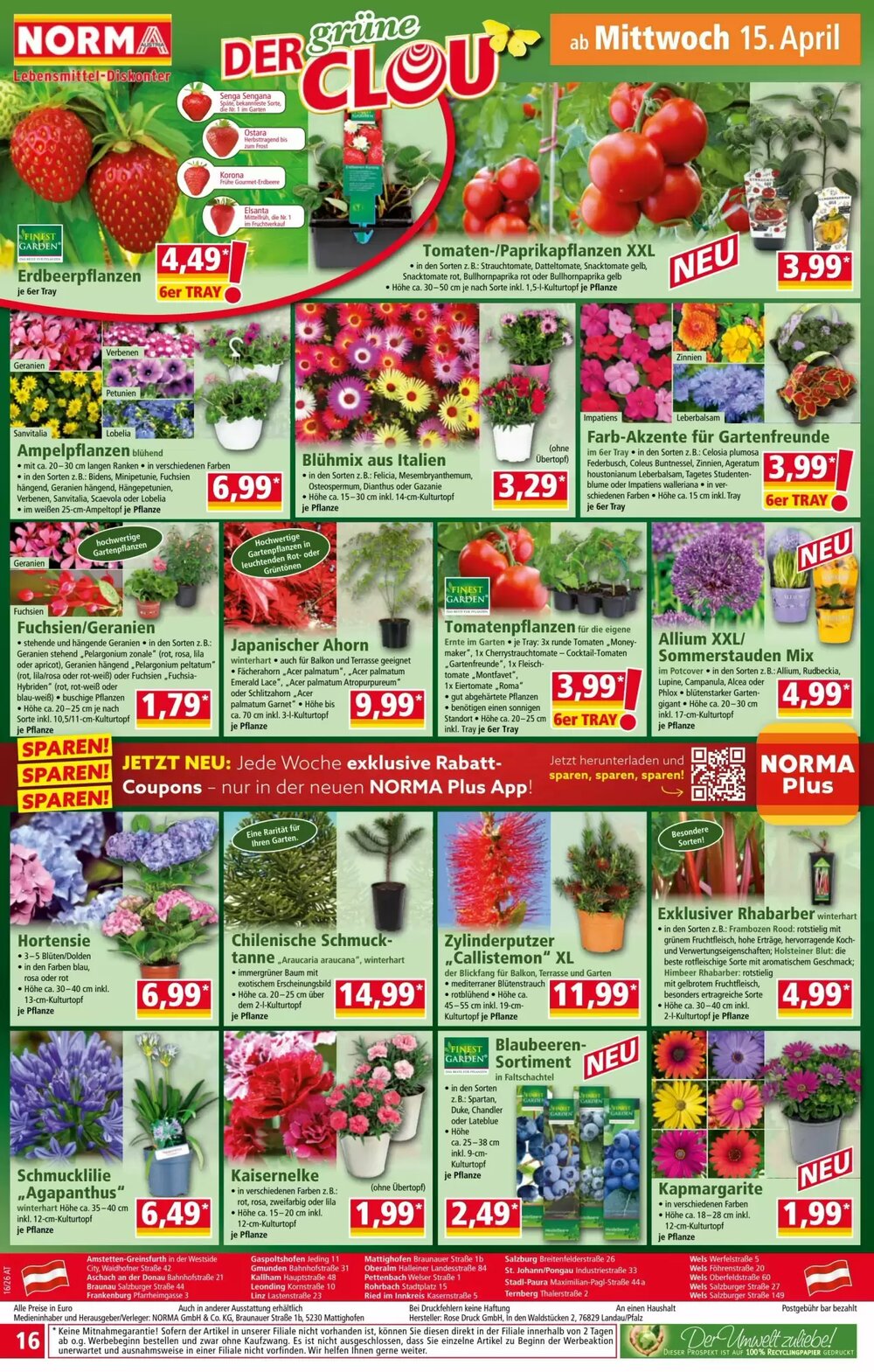 Norma Flugblatt (ab 13.04.2026) - Angebote und Prospekt - Seite 16