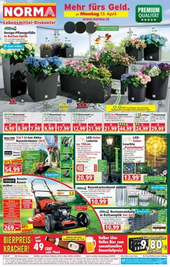 Norma Flugblatt (ab 13.04.2026) - Angebote und Prospekt