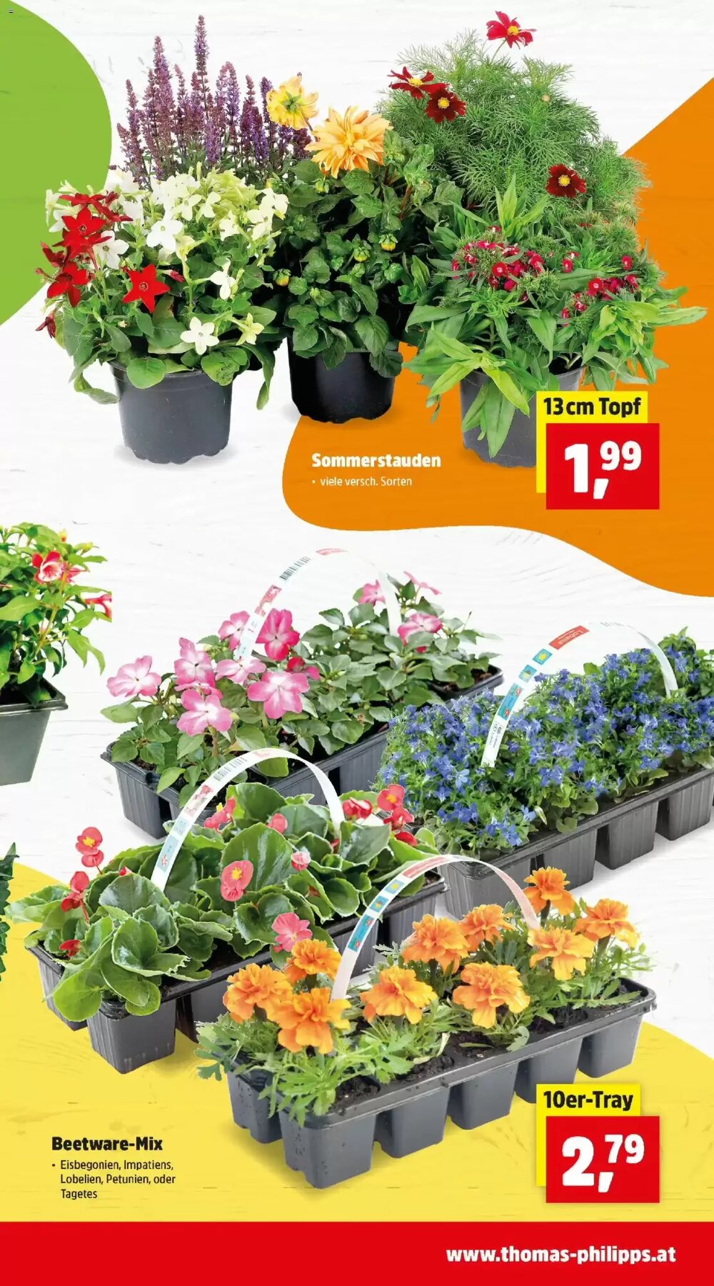 Thomas Philipps Flugblatt (ab 13.04.2026) - Angebote und Prospekt - Seite 7