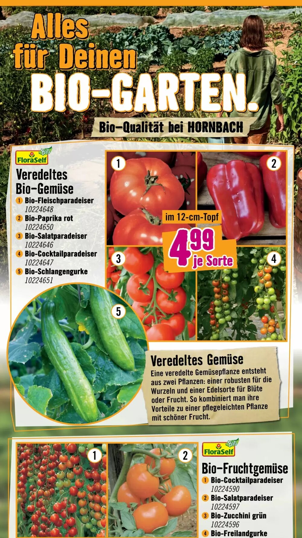 Hornbach Flugblatt (ab 15.04.2026) - Angebote und Prospekt - Seite 3