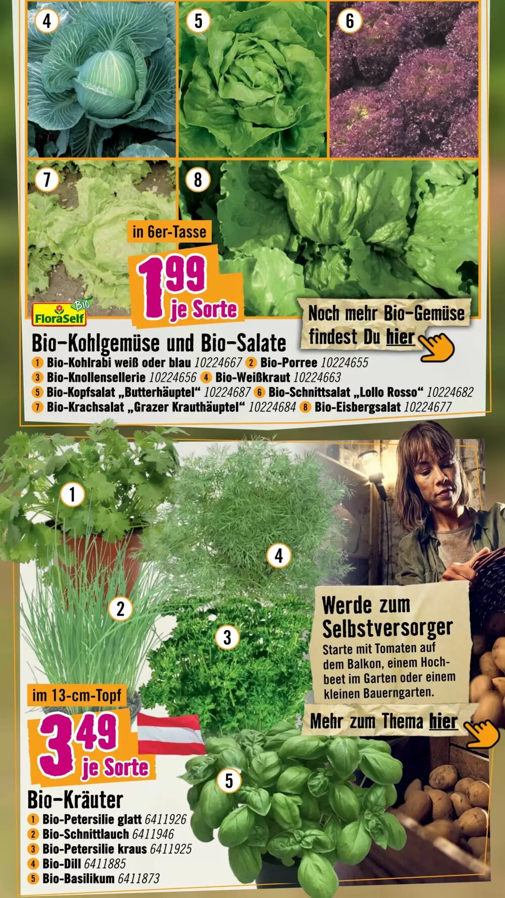 Hornbach Flugblatt (ab 15.04.2026) - Angebote und Prospekt - Seite 5