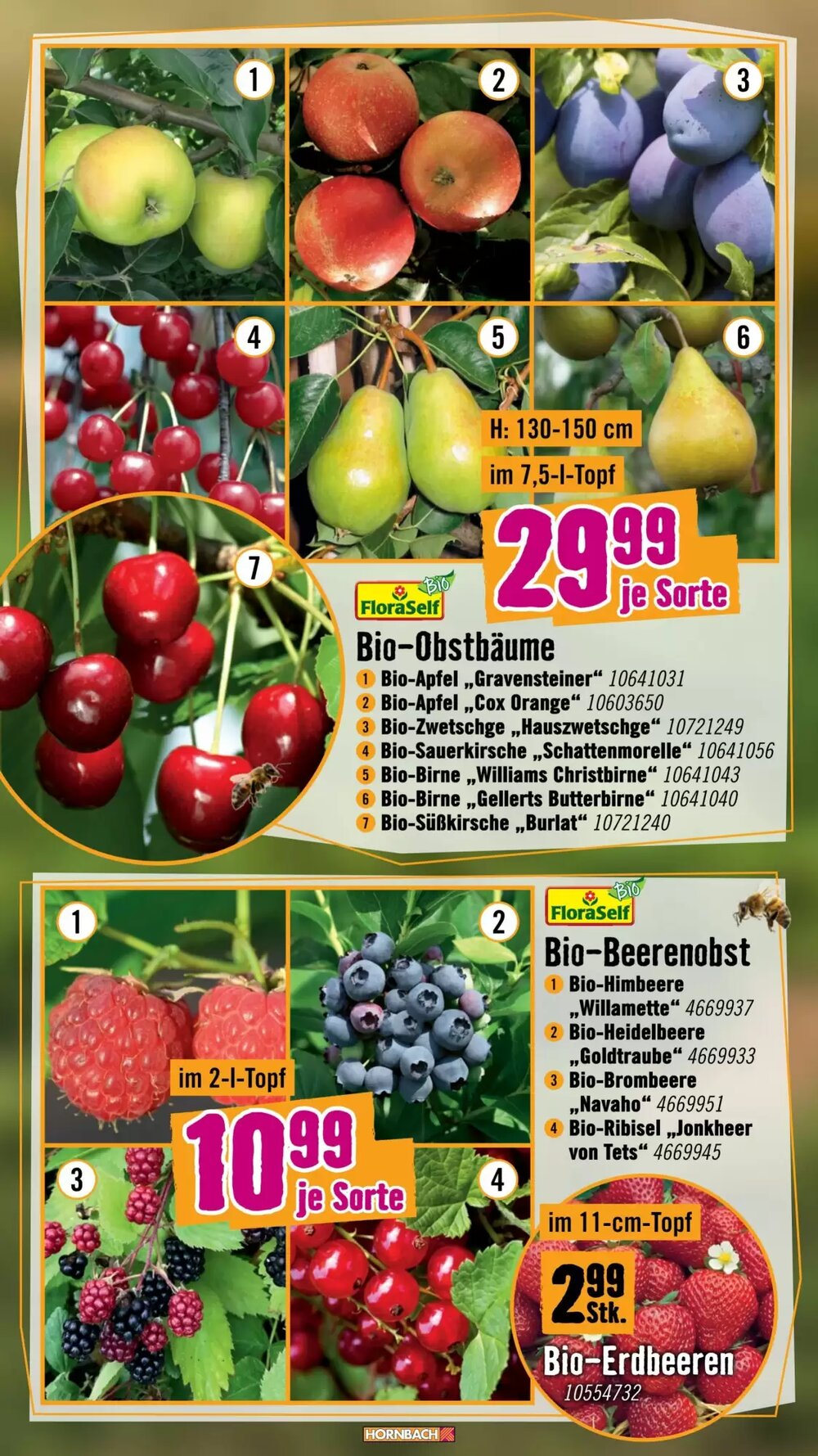 Hornbach Flugblatt (ab 15.04.2026) - Angebote und Prospekt - Seite 6