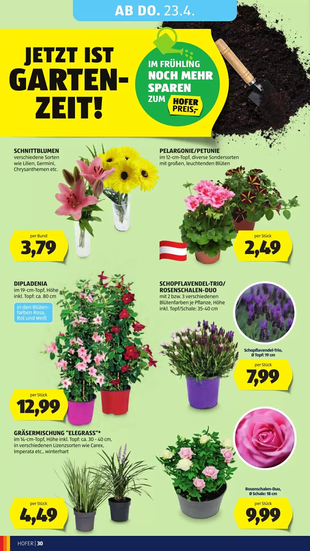 Hofer Flugblatt (ab 17.04.2026) - Angebote und Prospekt - Seite 34
