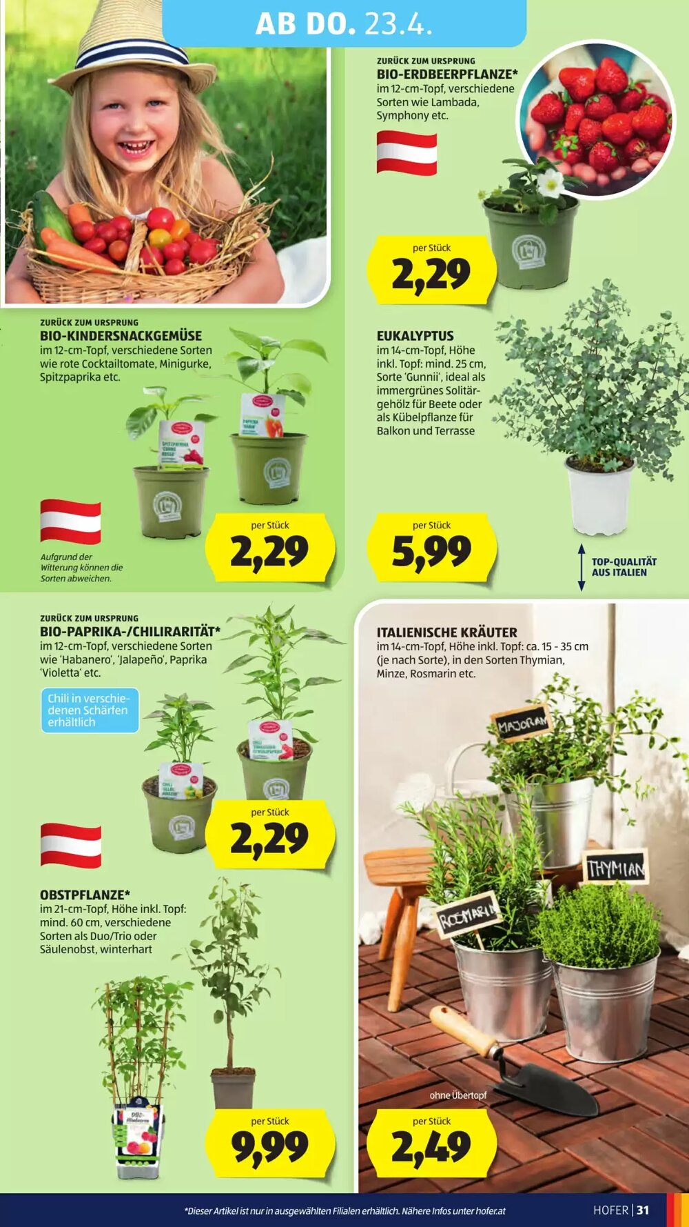 Hofer Flugblatt (ab 17.04.2026) - Angebote und Prospekt - Seite 35