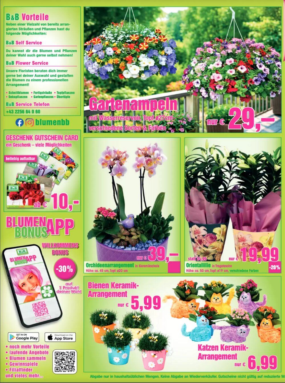 Blumen B&B Flugblatt (ab 17.04.2026) - Angebote und Prospekt - Seite 3