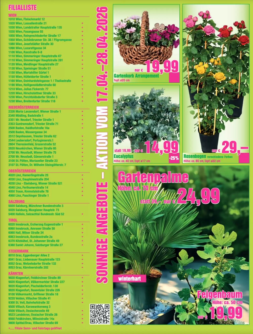 Blumen B&B Flugblatt (ab 17.04.2026) - Angebote und Prospekt - Seite 6