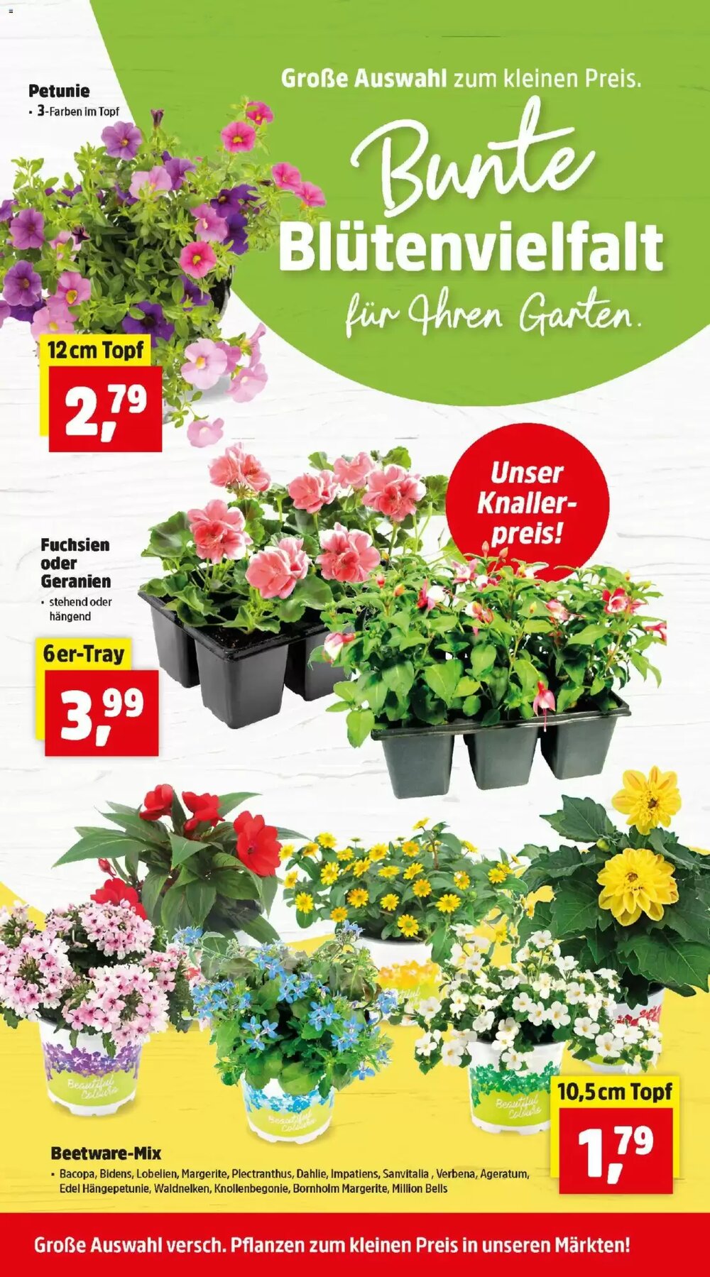 Thomas Philipps Flugblatt (ab 20.04.2026) - Angebote und Prospekt - Seite 2