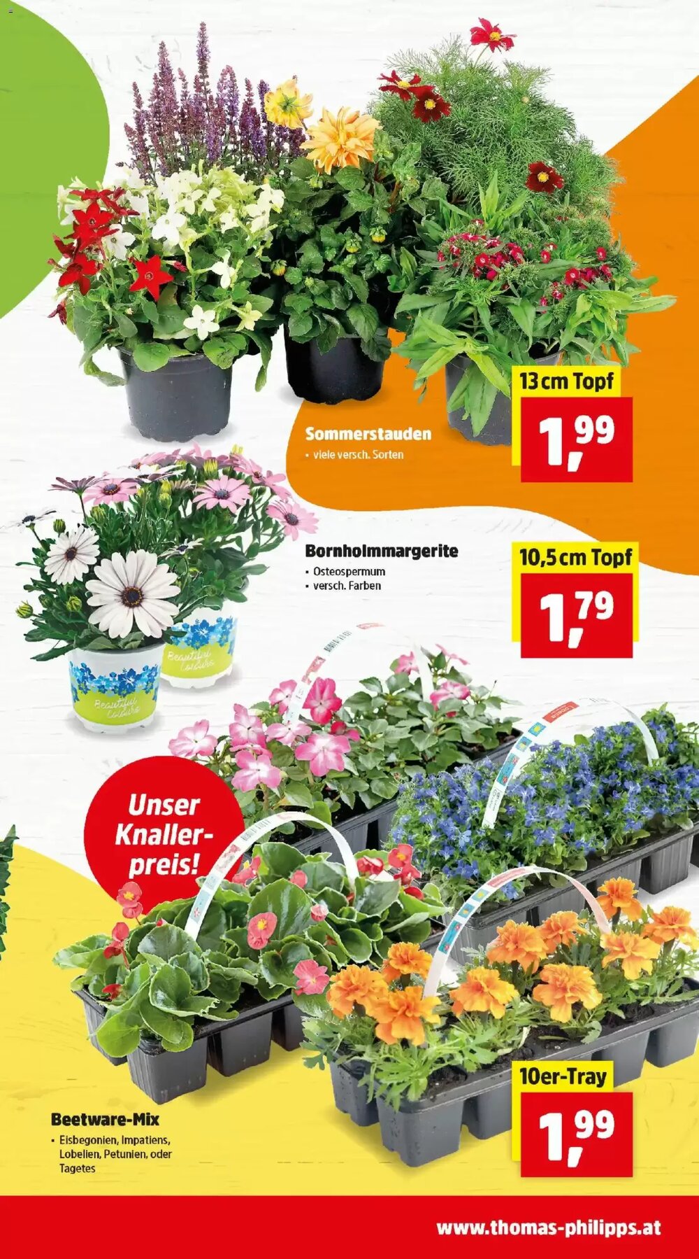 Thomas Philipps Flugblatt (ab 20.04.2026) - Angebote und Prospekt - Seite 3