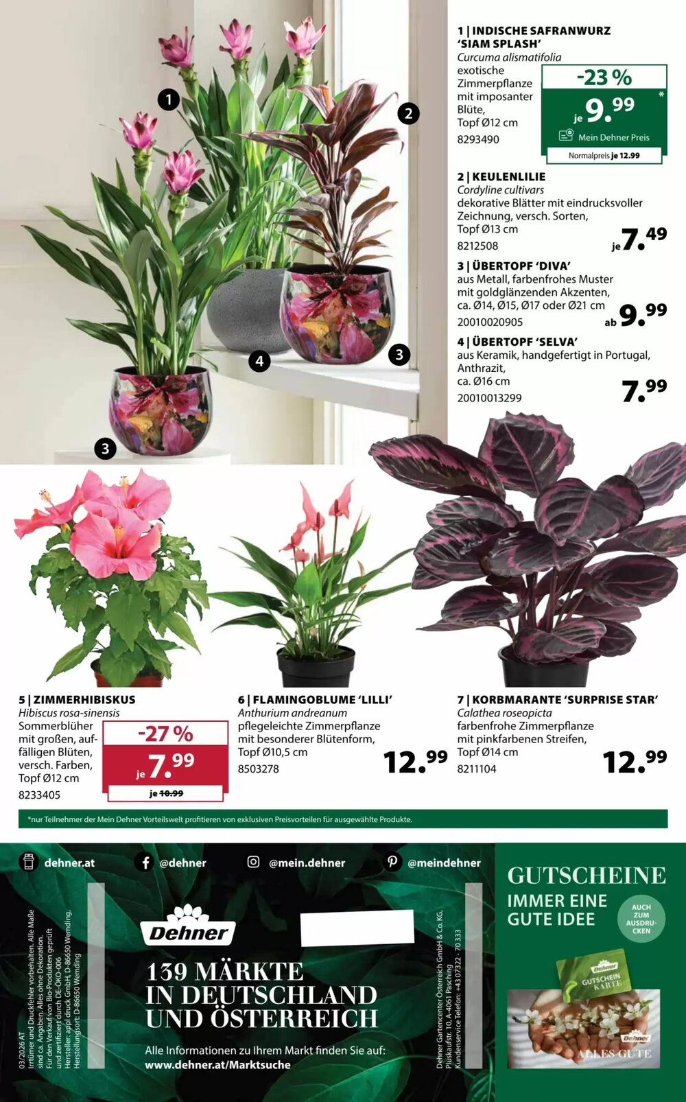 Dehner Flugblatt (ab 22.04.2026) - Angebote und Prospekt - Seite 16