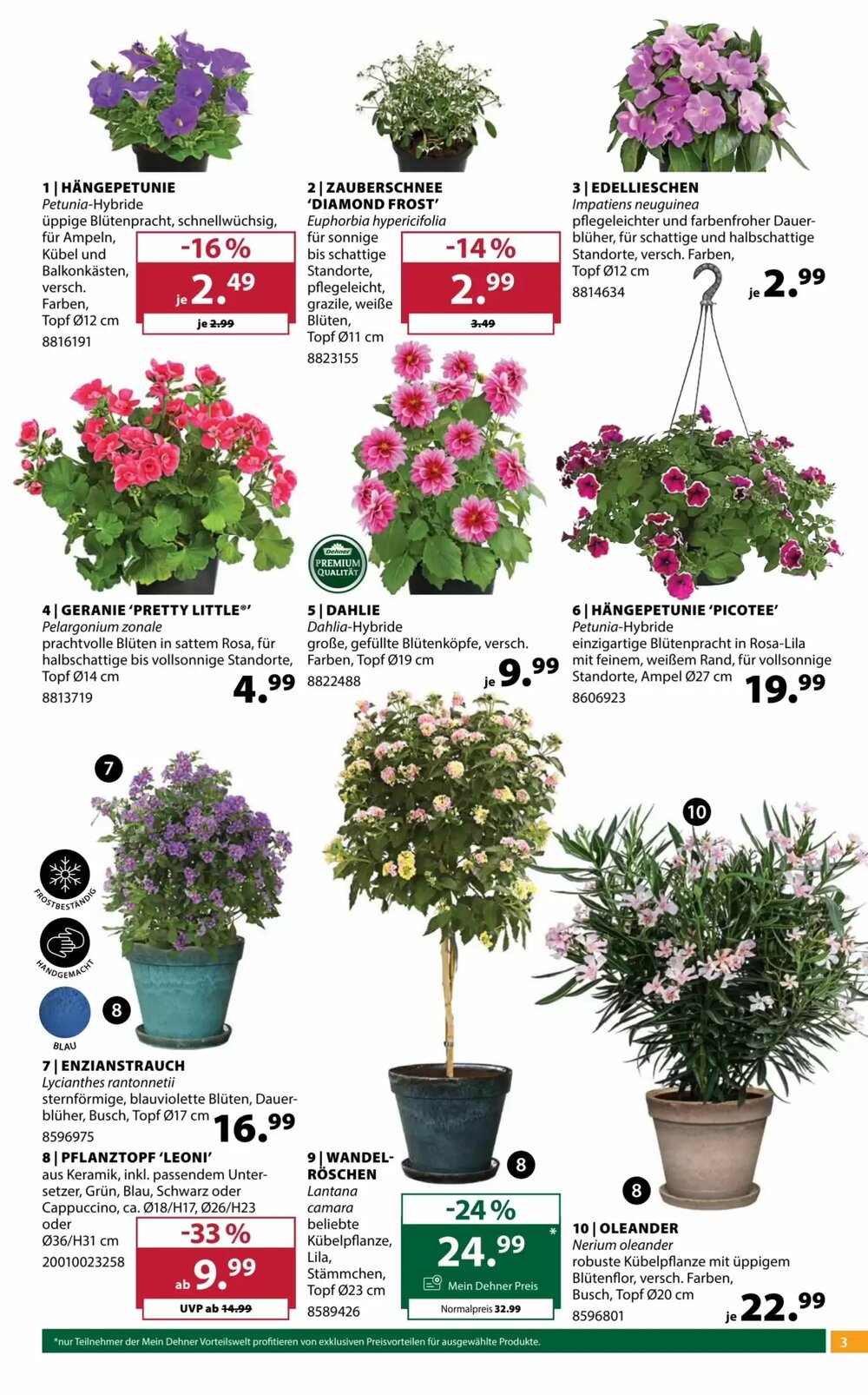 Dehner Flugblatt (ab 22.04.2026) - Angebote und Prospekt - Seite 3