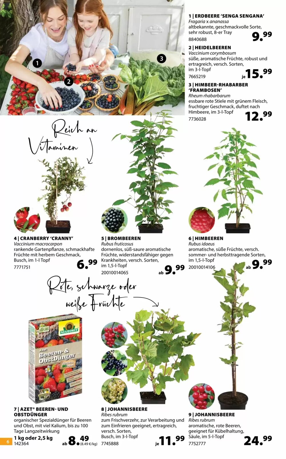 Dehner Flugblatt (ab 22.04.2026) - Angebote und Prospekt - Seite 6