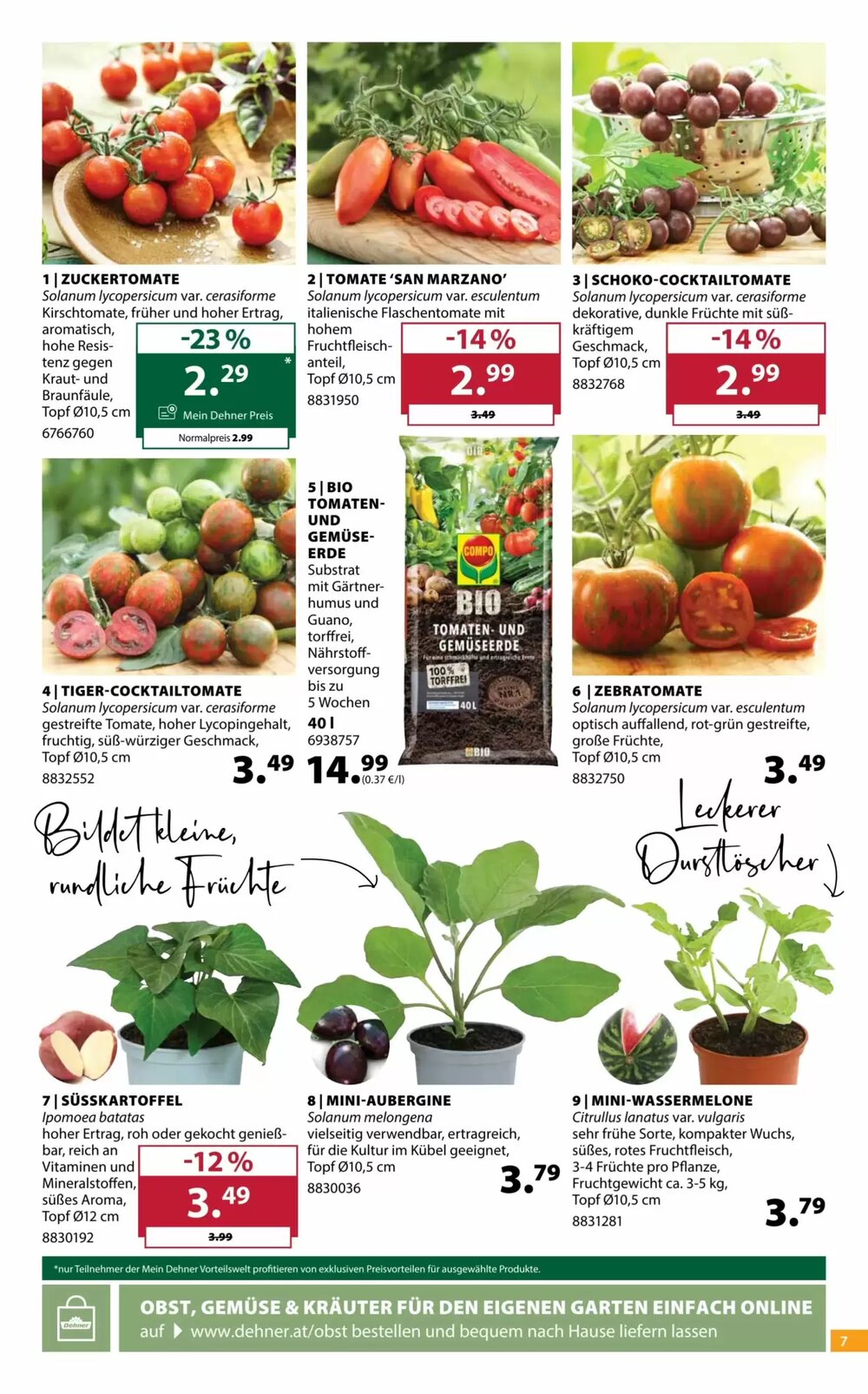 Dehner Flugblatt (ab 22.04.2026) - Angebote und Prospekt - Seite 7