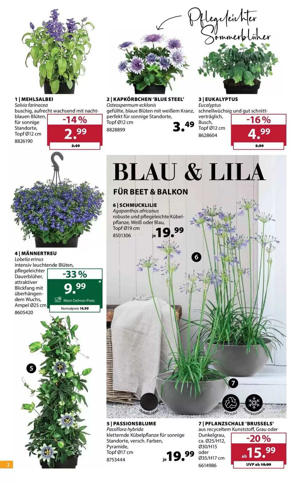 Dehner Flugblatt (ab 22.04.2026) - Angebote und Prospekt - Seite 2