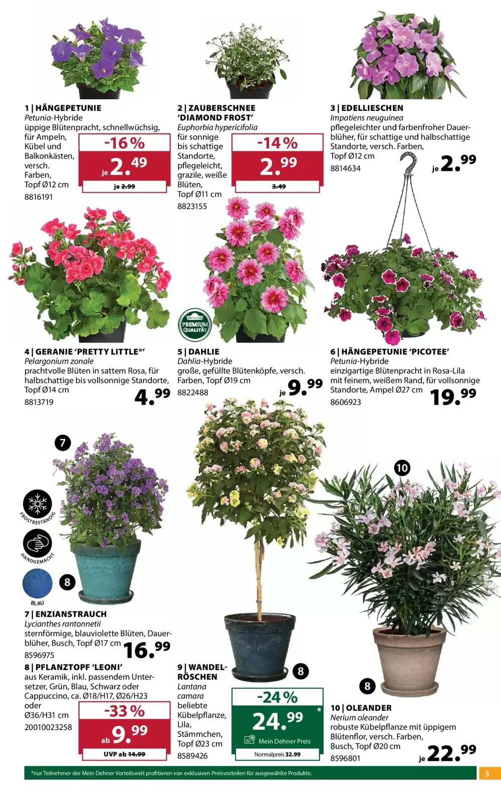Dehner Flugblatt (ab 22.04.2026) - Angebote und Prospekt - Seite 3