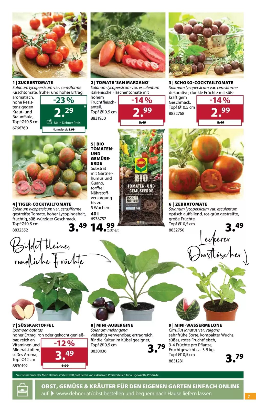 Dehner Flugblatt (ab 22.04.2026) - Angebote und Prospekt - Seite 7