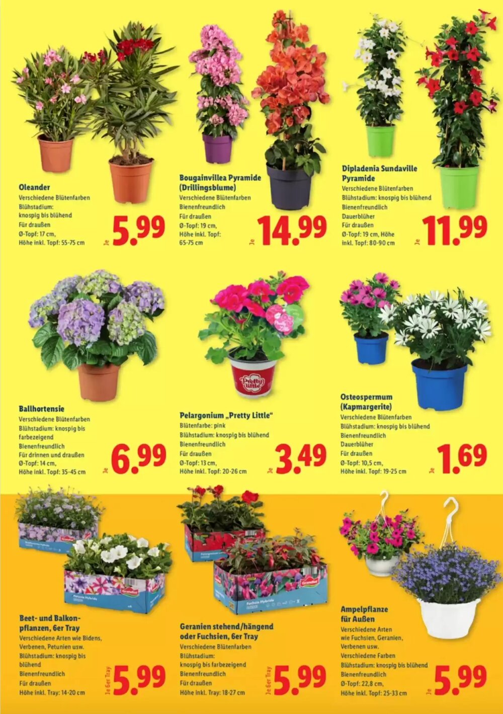 Lidl Flugblatt (ab 23.04.2026) - Angebote und Prospekt - Seite 2
