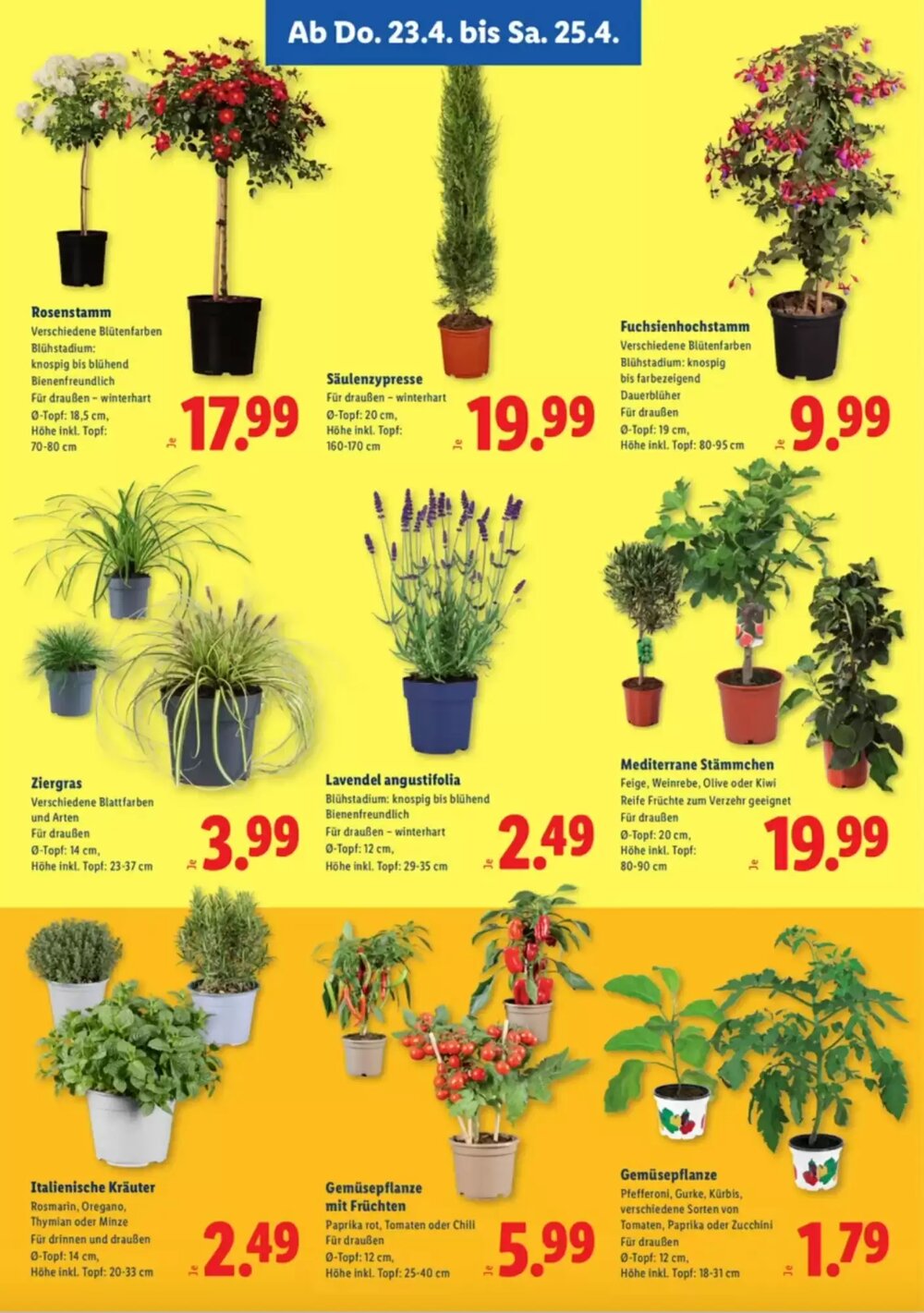 Lidl Flugblatt (ab 23.04.2026) - Angebote und Prospekt - Seite 3