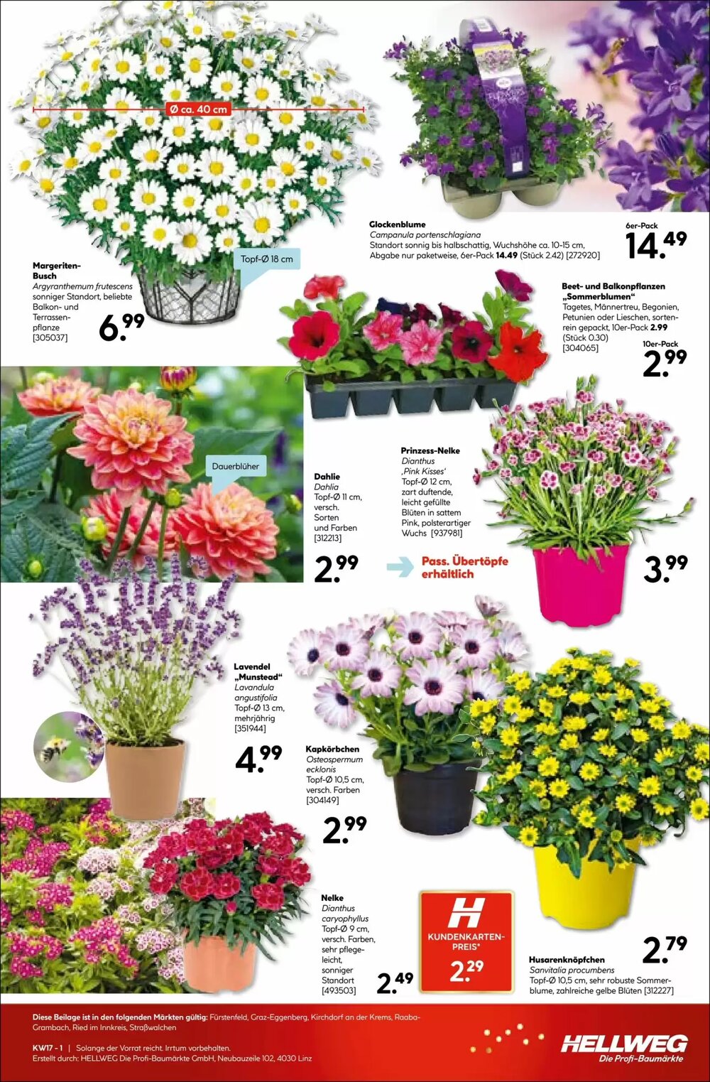 Hellweg Flugblatt (ab 23.04.2026) - Angebote und Prospekt - Seite 19