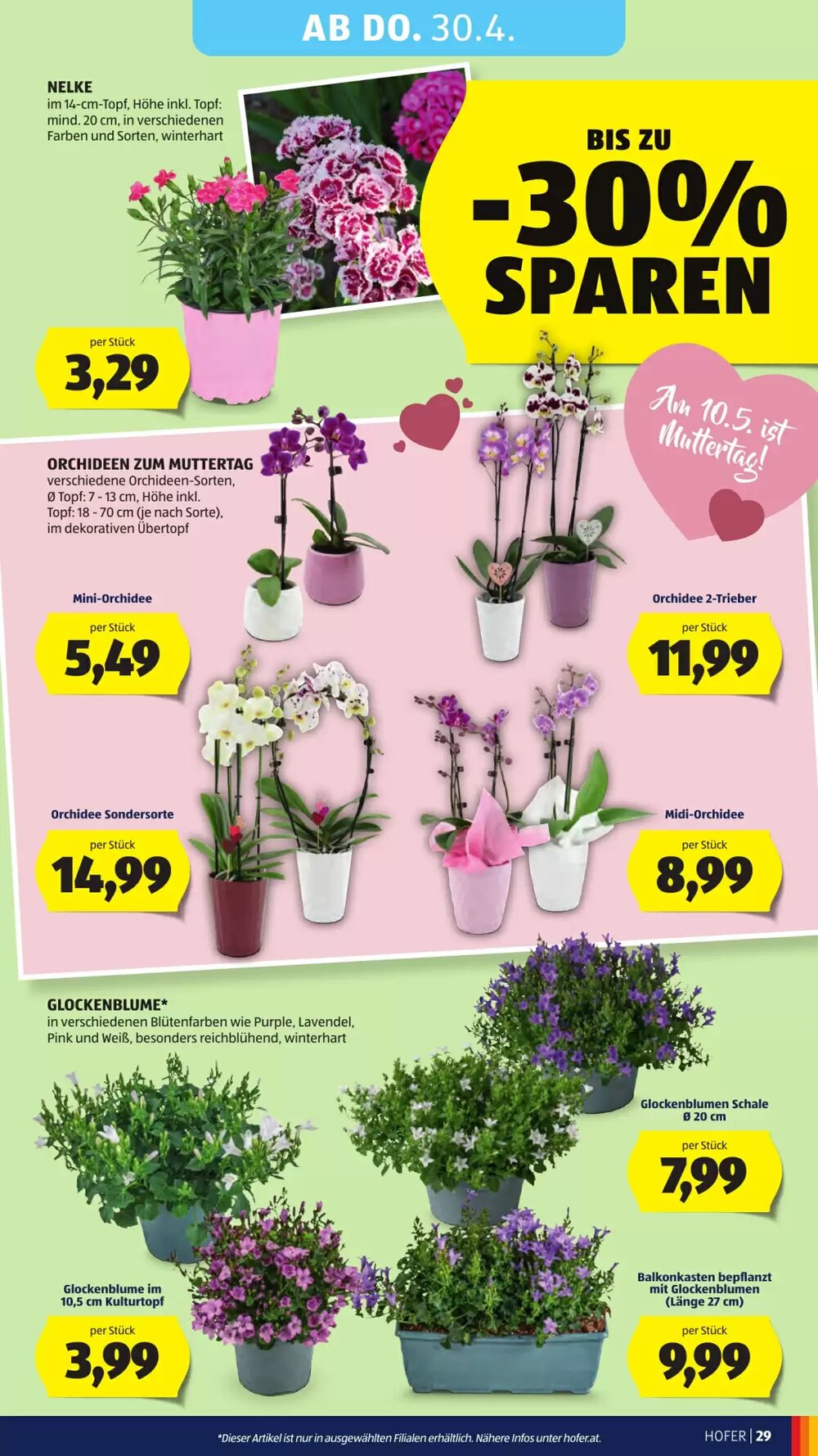 Hofer Flugblatt (ab 24.04.2026) - Angebote und Prospekt - Seite 31