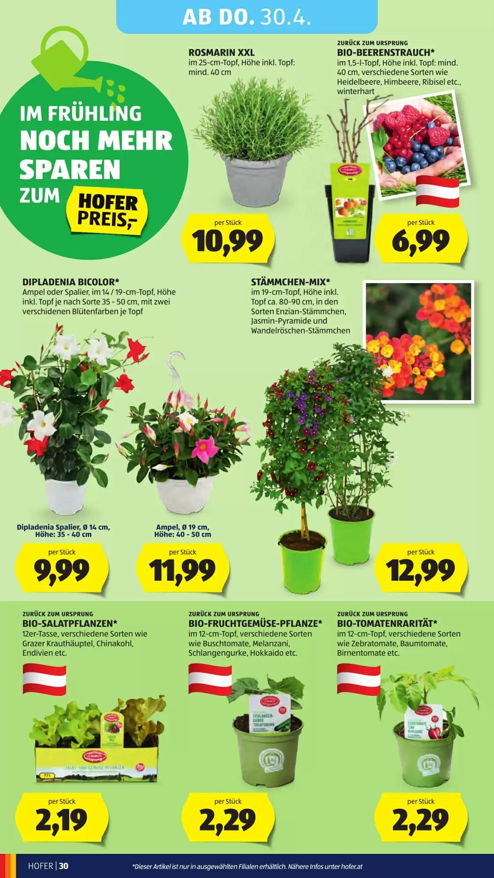 Hofer Flugblatt (ab 24.04.2026) - Angebote und Prospekt - Seite 32