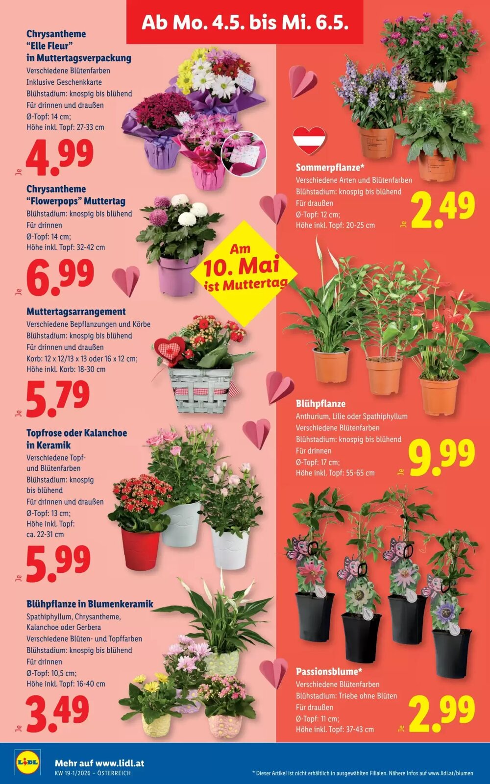 Lidl Flugblatt (ab 30.04.2026) - Angebote und Prospekt - Seite 29