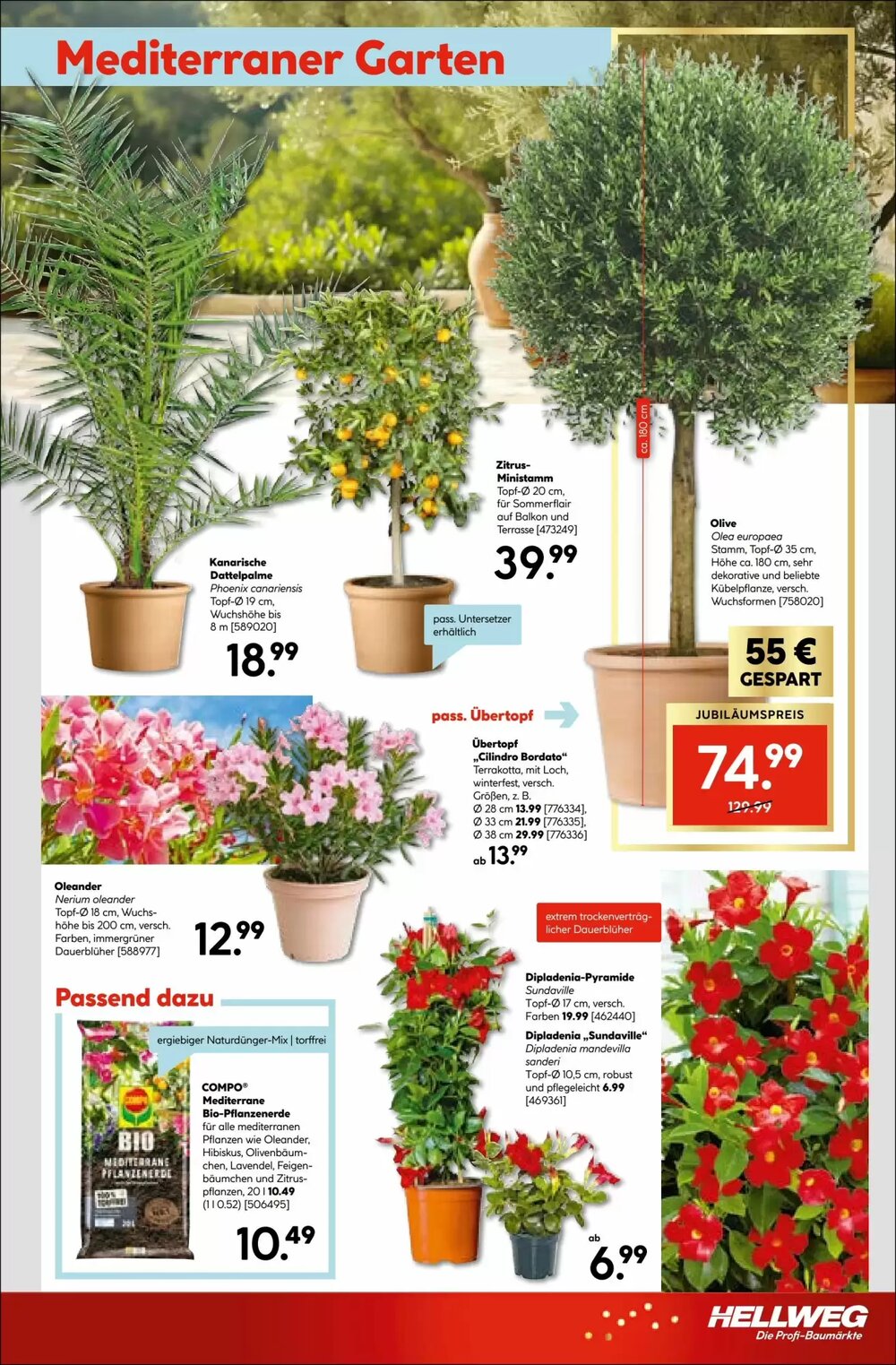 Hellweg Flugblatt (ab 30.04.2026) - Angebote und Prospekt - Seite 21