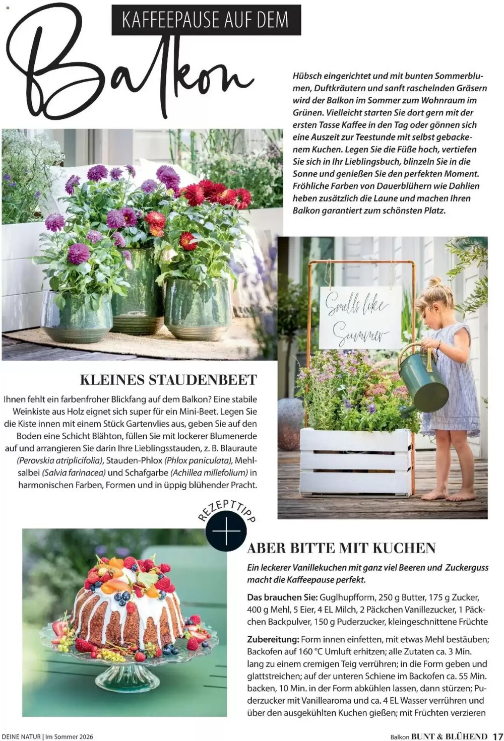 Dehner Flugblatt (ab 01.05.2026) - Angebote und Prospekt - Seite 17