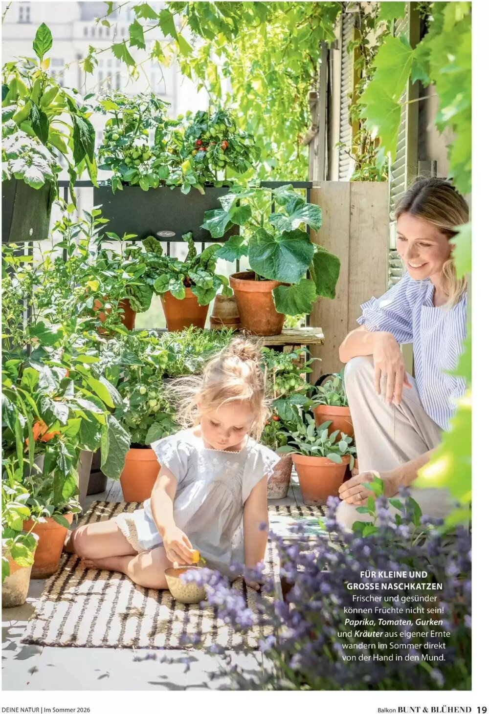 Dehner Flugblatt (ab 01.05.2026) - Angebote und Prospekt - Seite 19