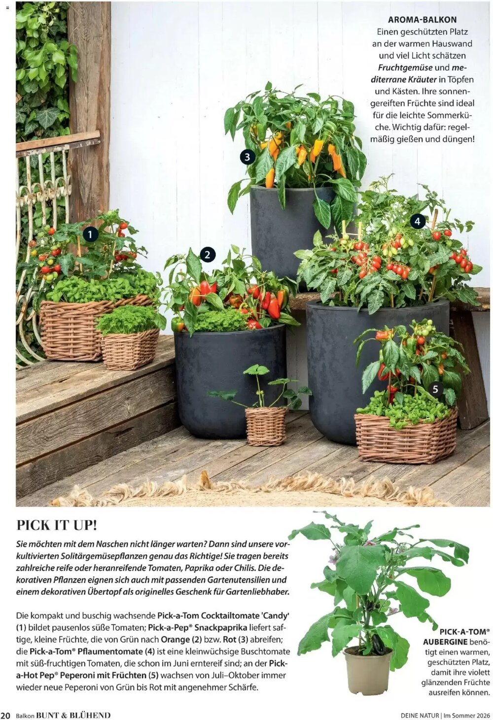 Dehner Flugblatt (ab 01.05.2026) - Angebote und Prospekt - Seite 20