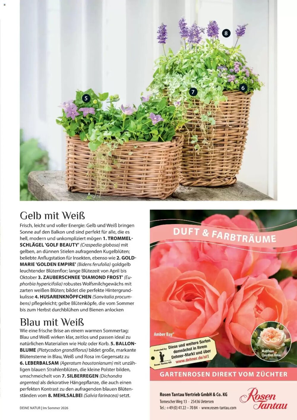 Dehner Flugblatt (ab 01.05.2026) - Angebote und Prospekt - Seite 23