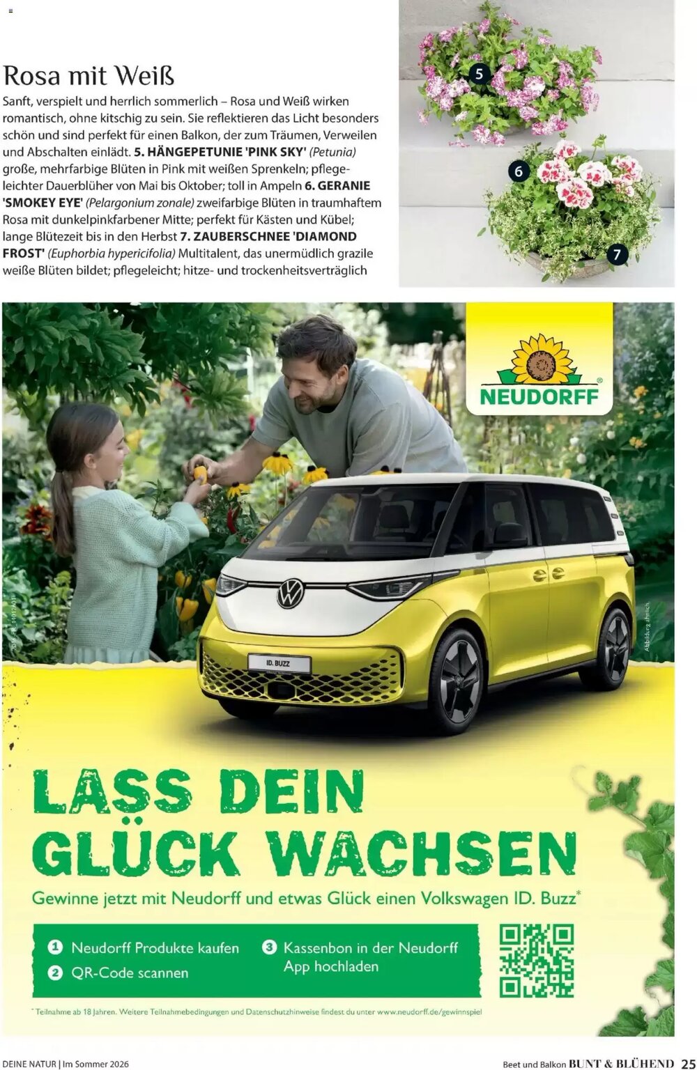 Dehner Flugblatt (ab 01.05.2026) - Angebote und Prospekt - Seite 25